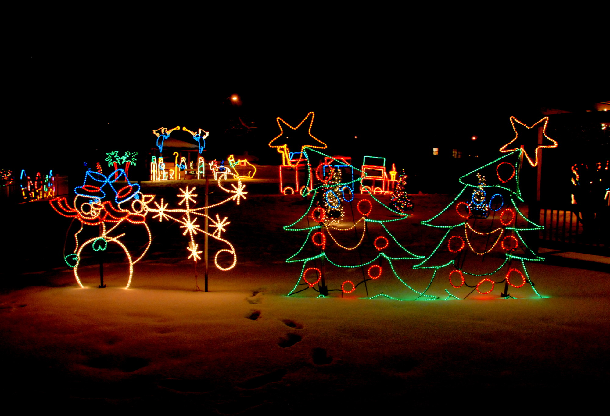 Holiday lights display at Sunken Gardens